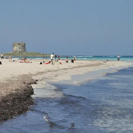 4 Beds Capo Falcone Daire